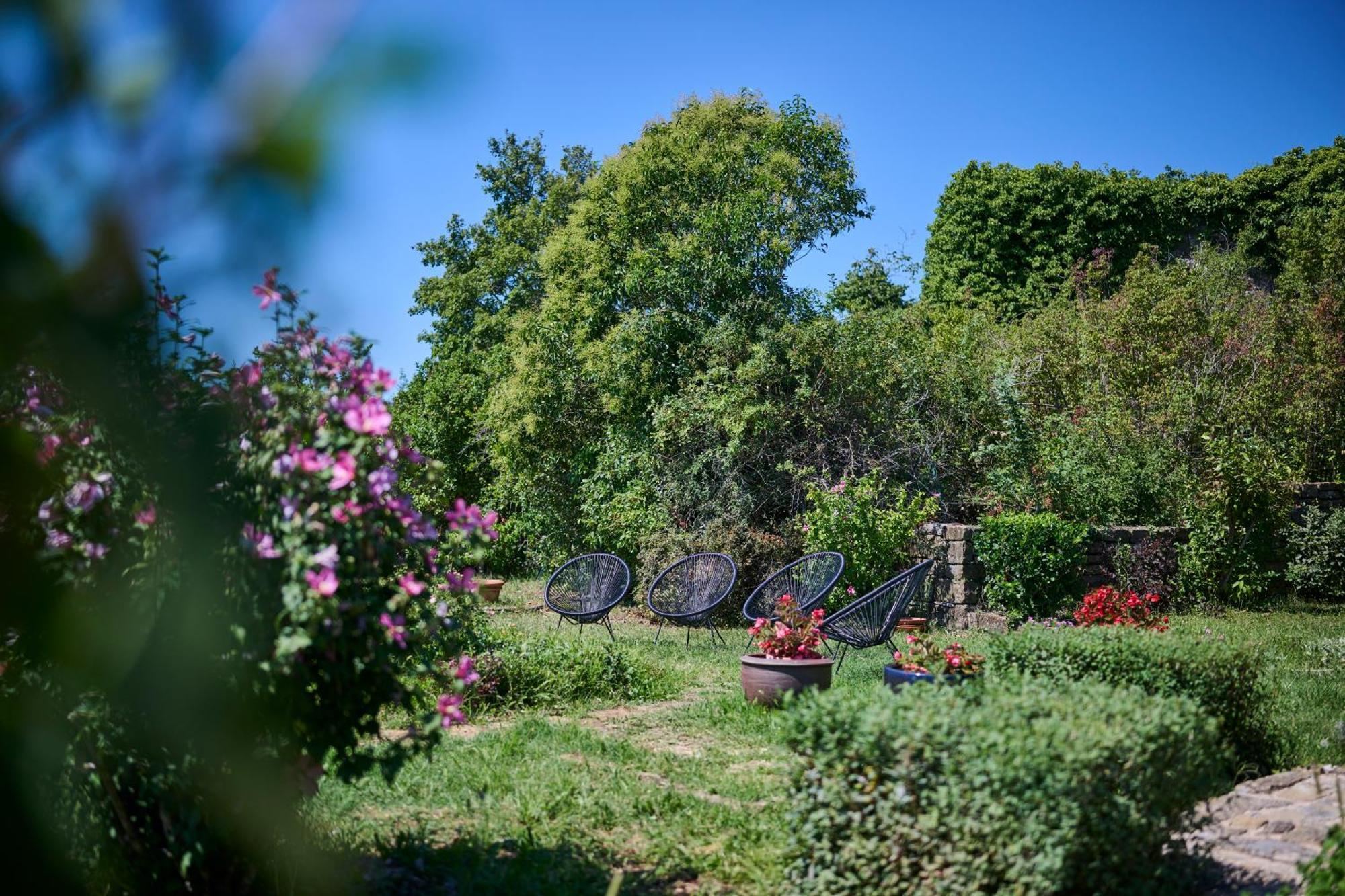 Вилла Casa Del Conte - Peaceful Hideaway In North Istria Грожнян Экстерьер фото